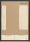 Nitzschia insignis var. arctiae Grun. (de-Toni-Nr.: Genus 47, Species 2074) Zeichnungen Sammlung Grunow Nr. 4096 (NHMW-BOT-W0371949)
